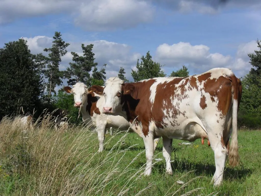 La Roulotte A La Ferme Bed & Breakfast Palogneux